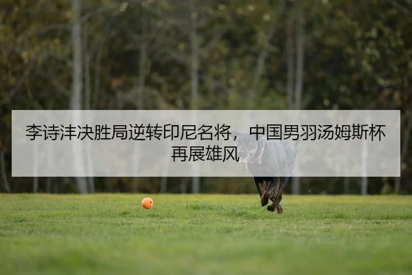 李诗沣决胜局逆转印尼名将，中国男羽汤姆斯杯再展雄风 | PG